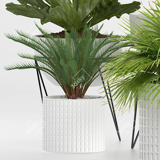 Green Oasis Plant Collection 3D model image 9