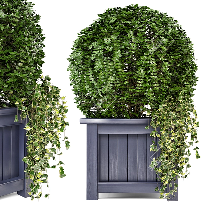 Outdoor Greenery in Wooden Planters 3D model image 1