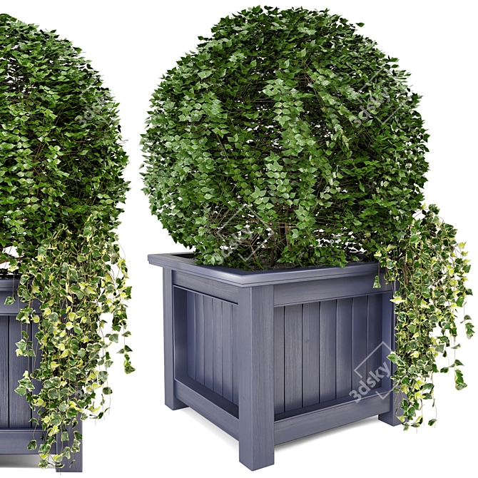 Outdoor Greenery in Wooden Planters 3D model image 2