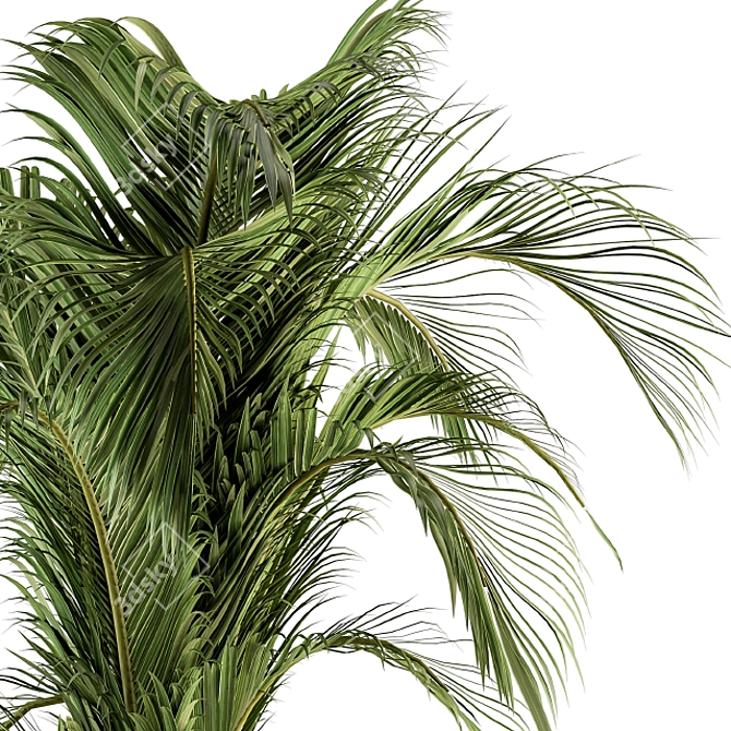 Tropical Bliss: Indoor Plant Set 3D model image 3