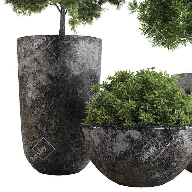 3D Polygon Outdoor Plant with Textures 3D model image 2