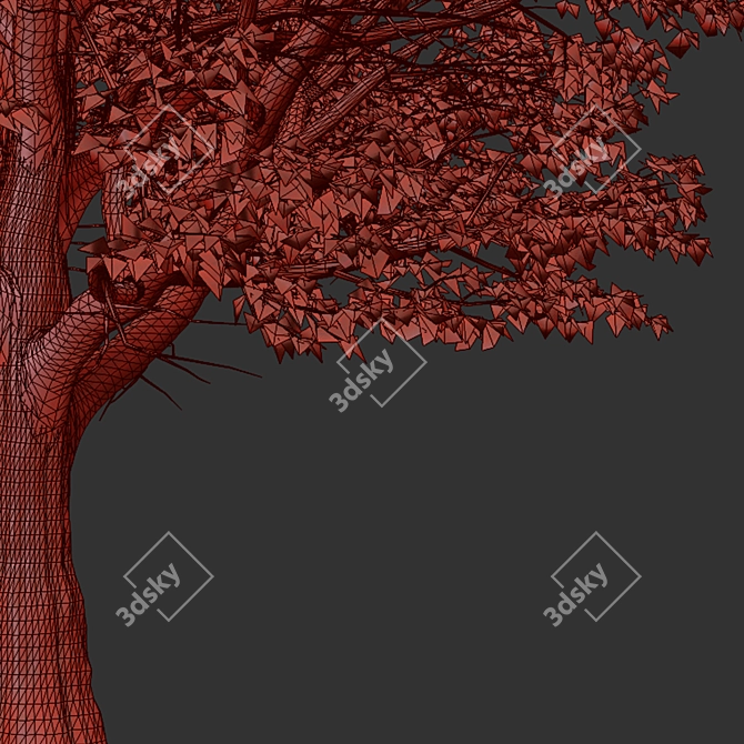 Silver Linden Tree Set (2 Trees) 3D model image 7