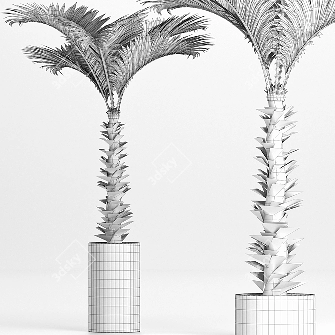 Lush Tropical Palm Collection 3D model image 4