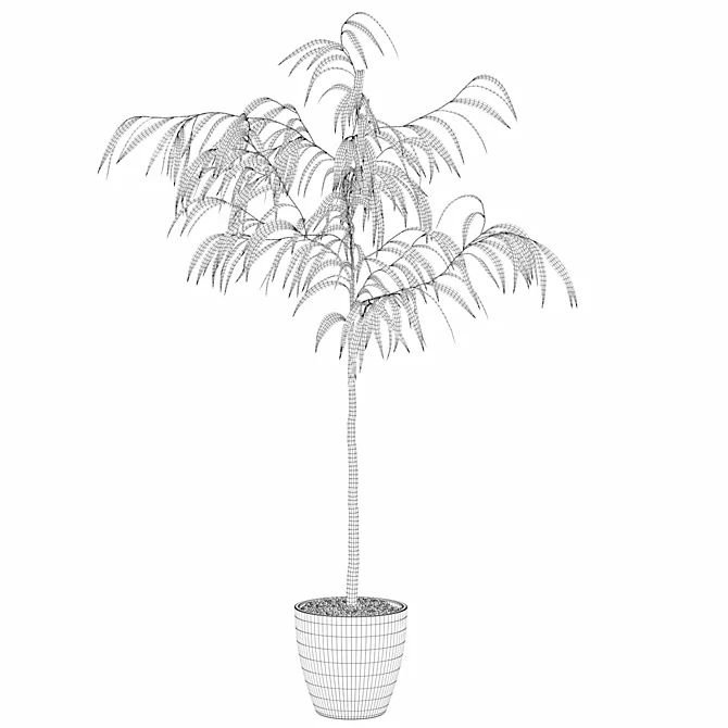 Exquisite Ficus Ali Plant - 3D Model 3D model image 4