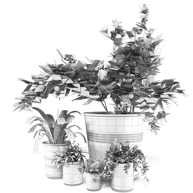 Diverse Indoor Plant Collection 3D model image 3