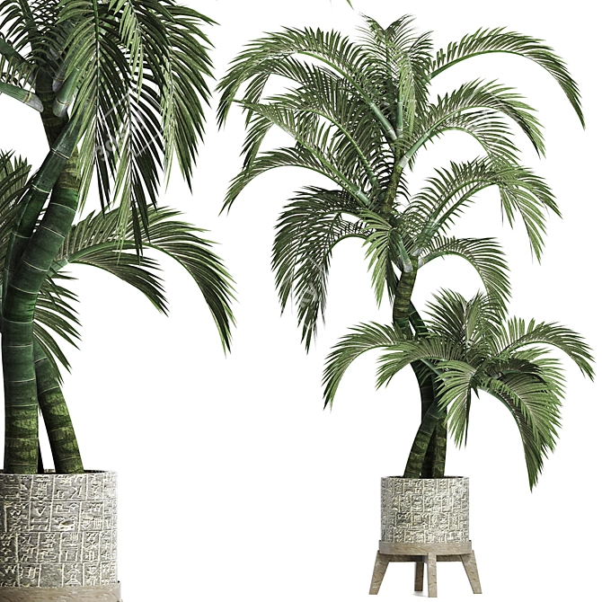 Egyptian Palm: Stunning Outdoor Large Houseplant 3D model image 1