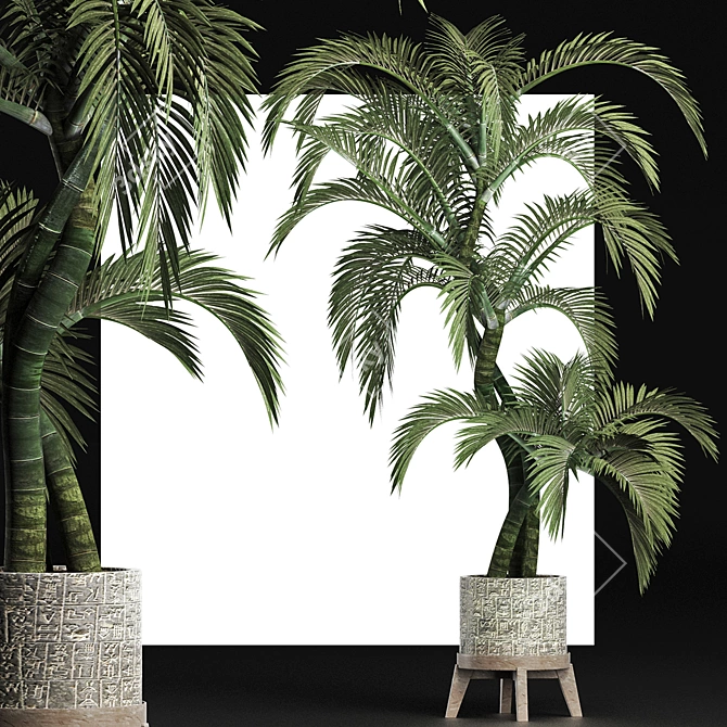 Egyptian Palm: Stunning Outdoor Large Houseplant 3D model image 3