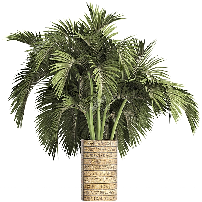 Egyptian Palm: Indoor & Outdoor Plant Collection 3D model image 1