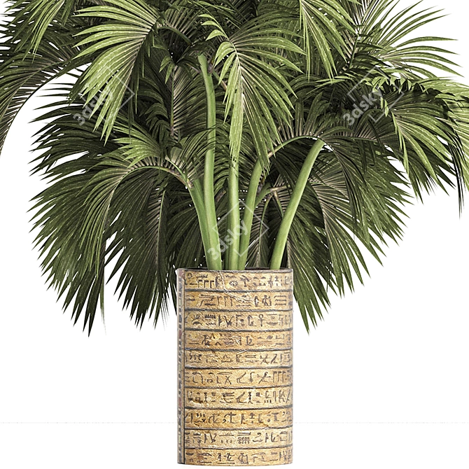 Egyptian Palm: Indoor & Outdoor Plant Collection 3D model image 2