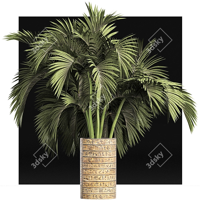 Egyptian Palm: Indoor & Outdoor Plant Collection 3D model image 3