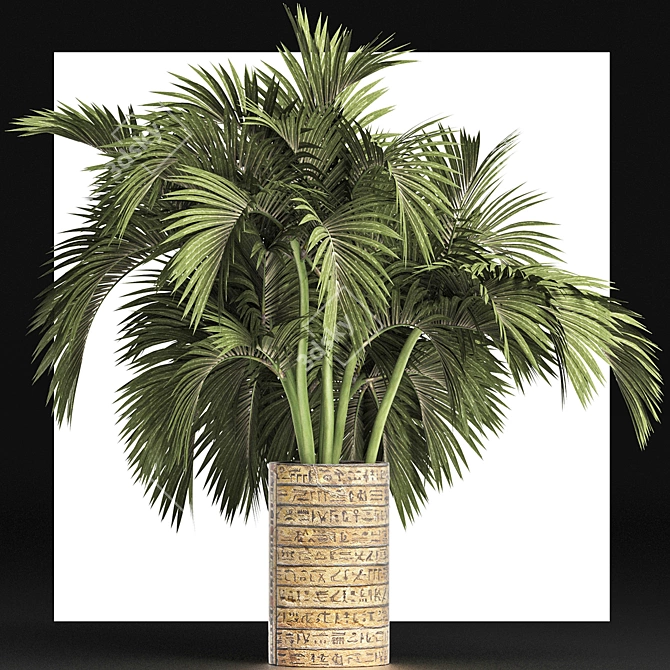 Egyptian Palm: Indoor & Outdoor Plant Collection 3D model image 4