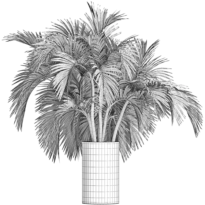 Egyptian Palm: Indoor & Outdoor Plant Collection 3D model image 5