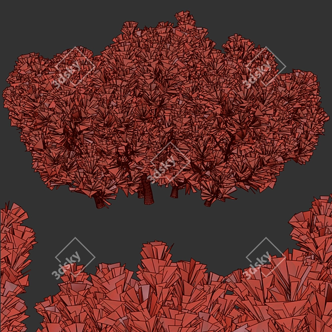 Golden Mugo Pine Shrub Set (3 Shrubs) 3D model image 5
