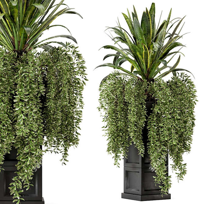 Rusty Black Concrete Indoor Plants 3D model image 2