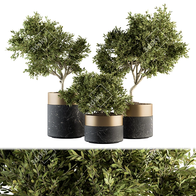 Green Oasis: Indoor Plant Set 127 3D model image 1