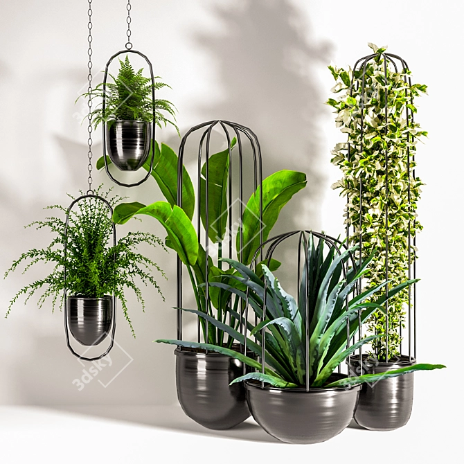 Green Oasis Indoor Plant Set 3D model image 1