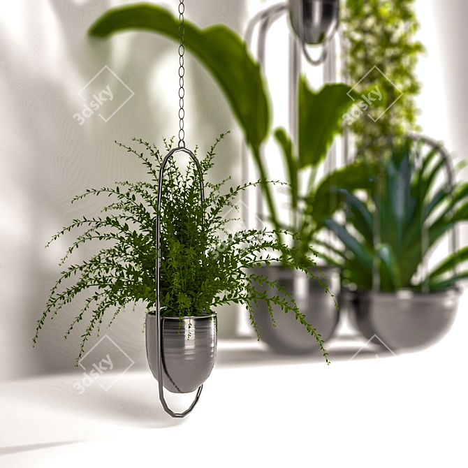 Green Oasis Indoor Plant Set 3D model image 2