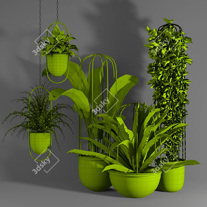 Green Oasis Indoor Plant Set 3D model image 4