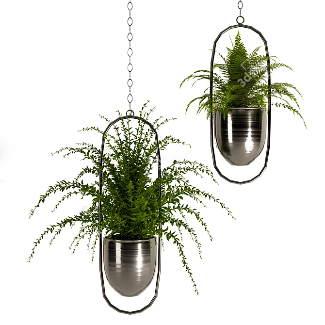 Green Oasis Indoor Plant Set 3D model image 6