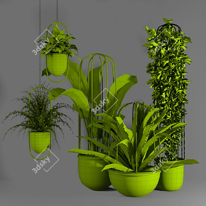 Green Oasis Indoor Plant Set 3D model image 8