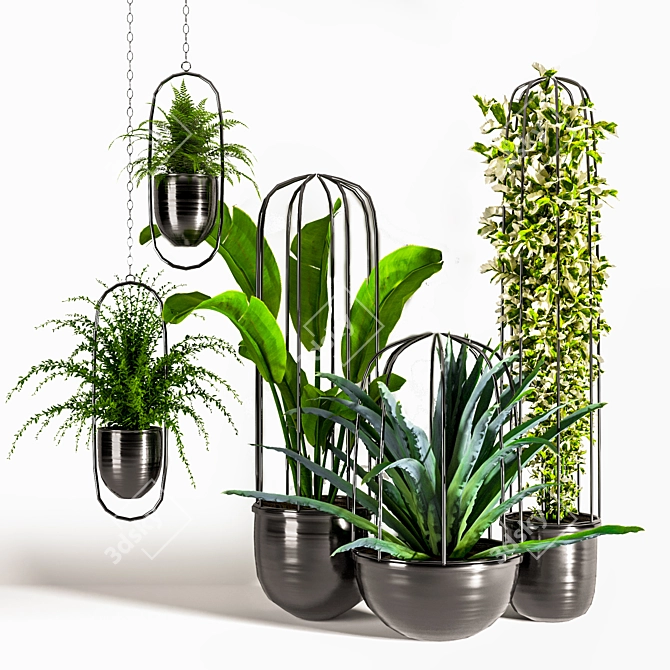 Green Oasis Indoor Plant Set 3D model image 9