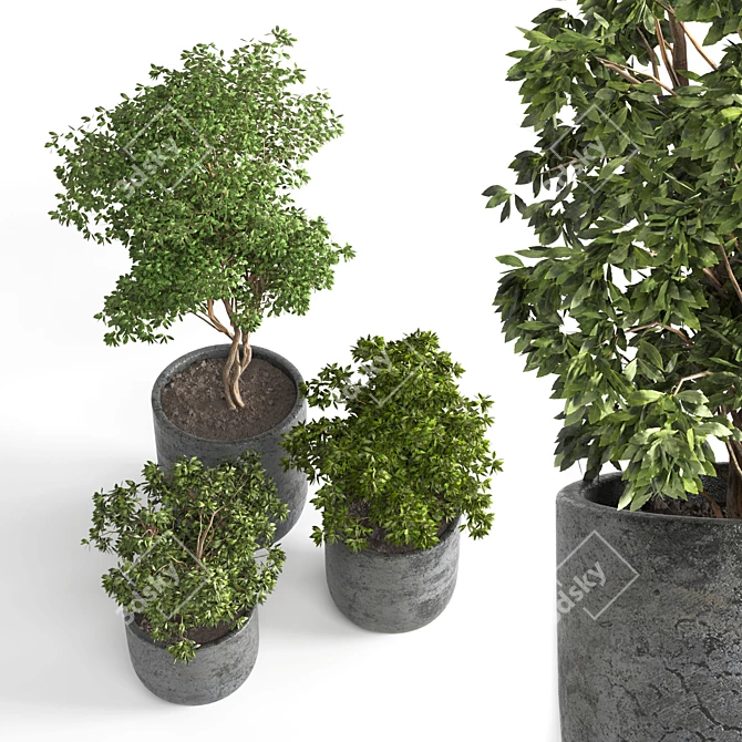 3D Outdoor Plant 06: Vray & Corona Compatible 3D model image 2