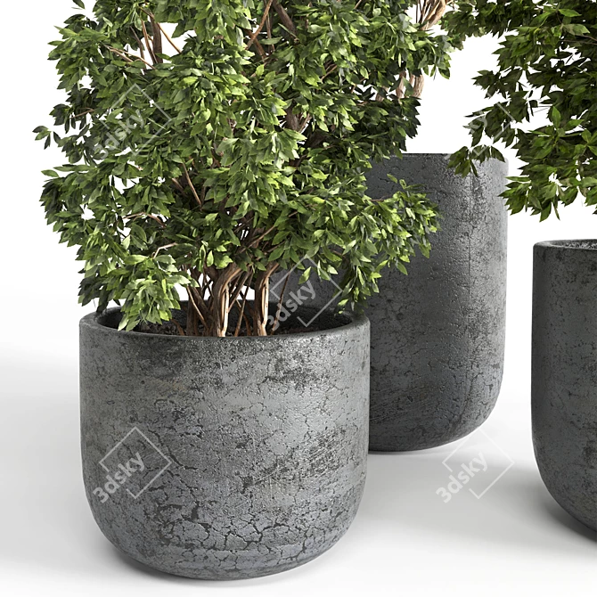 3D Outdoor Plant 06: Vray & Corona Compatible 3D model image 3