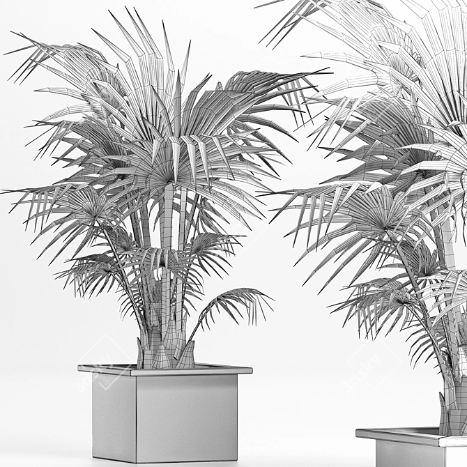 Exquisite 165 Arabian Palm Set 3D model image 5