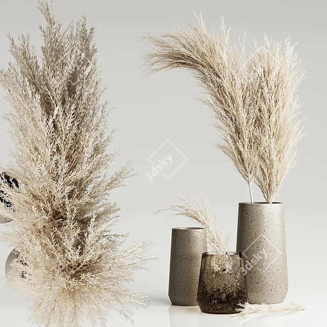 Dried Pampas in Elegant Vases 3D model image 1