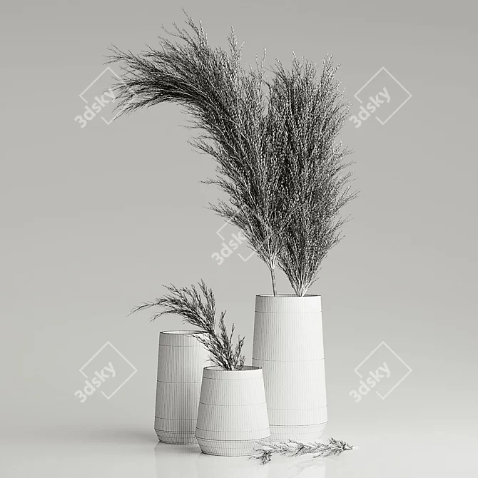 Dried Pampas in Elegant Vases 3D model image 4