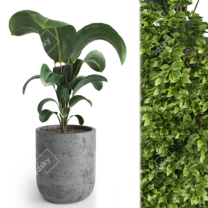 Natural Greenery: Indoor Plant 06 3D model image 2