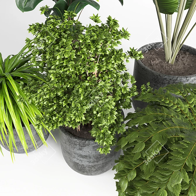Natural Greenery: Indoor Plant 06 3D model image 3