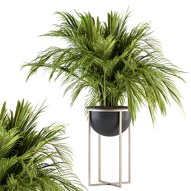 Tropical Paradise Plant Set 3D model image 1