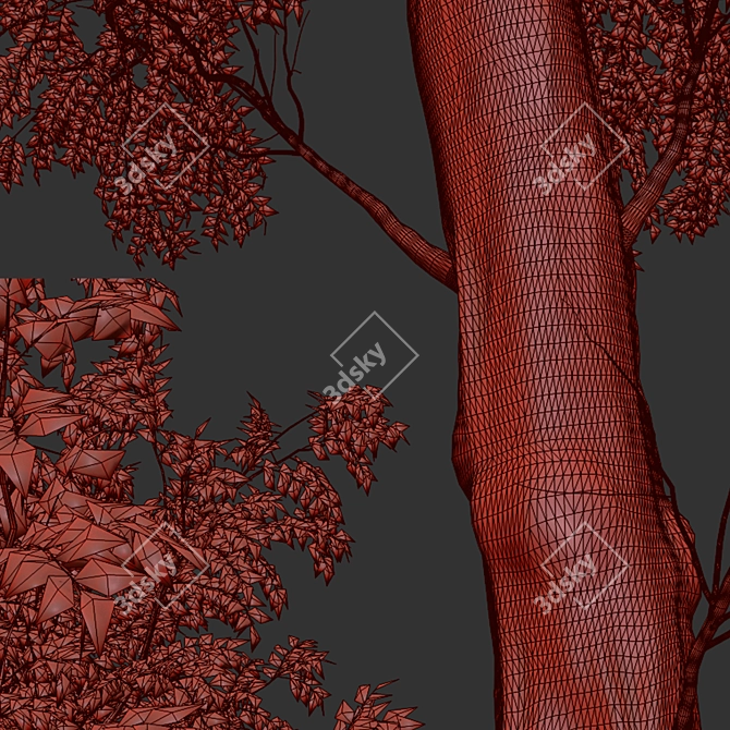 Arizona Ash Trees: Lush and Lifelike Pair! 3D model image 5