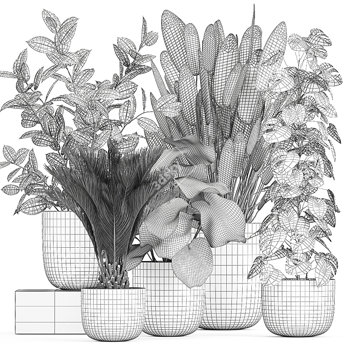 Exotic Plant Collection: Indoor & Outdoor Varieties 3D model image 5