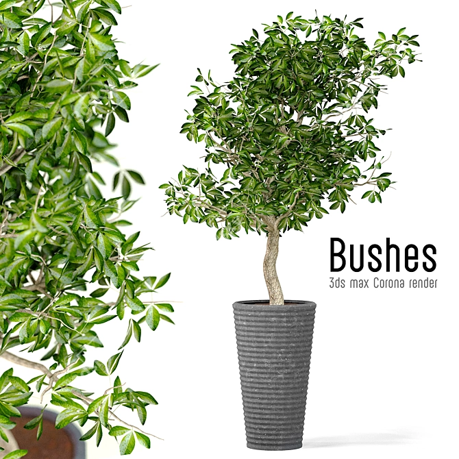 Designer9799 Bushes Design 3D model image 1