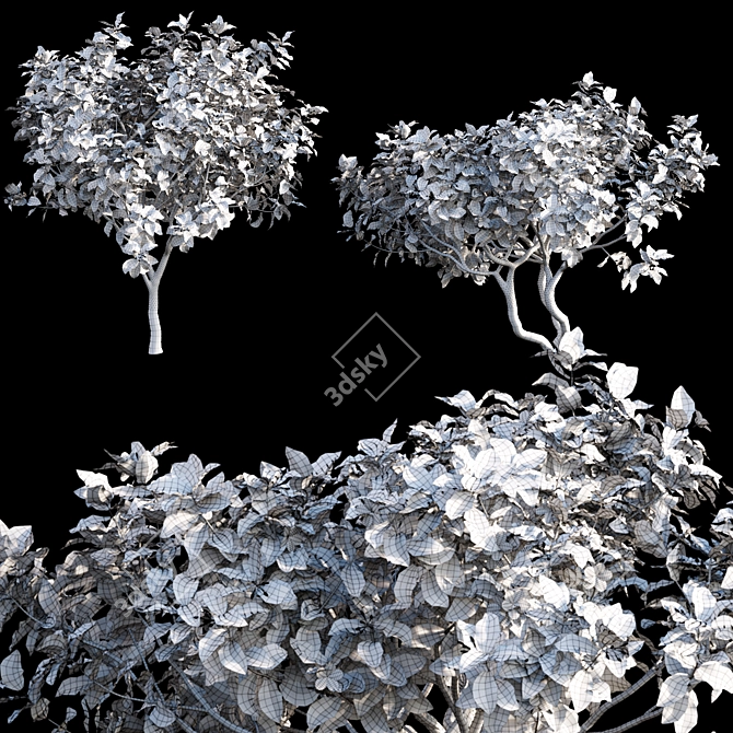 Archive: 3ds Max, FBX, OBJ, Textures 3D model image 3