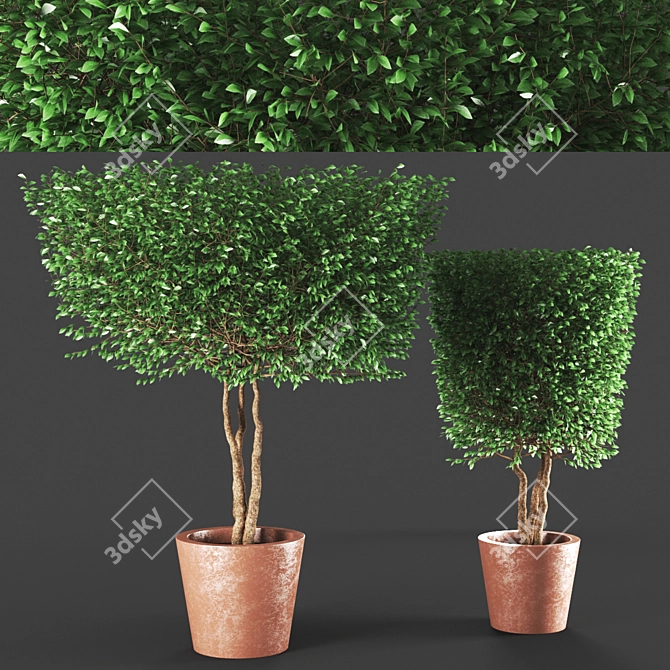  Tall and Elegant Plant Sculptures 3D model image 1