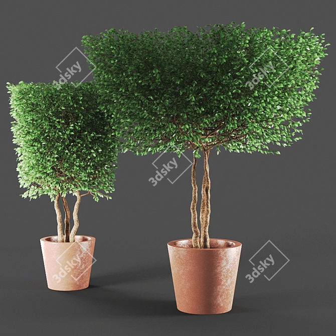  Tall and Elegant Plant Sculptures 3D model image 2