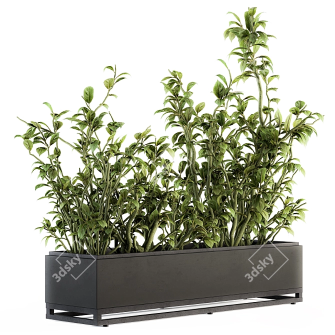 138 Piece Indoor Ficus Plants Set 3D model image 1