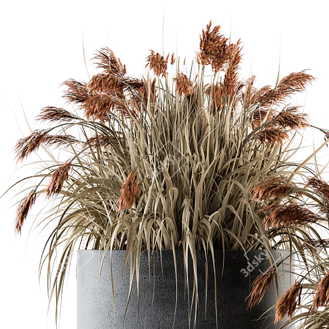  Vibrant Indian Grass Indoor Plant Set 3D model image 2