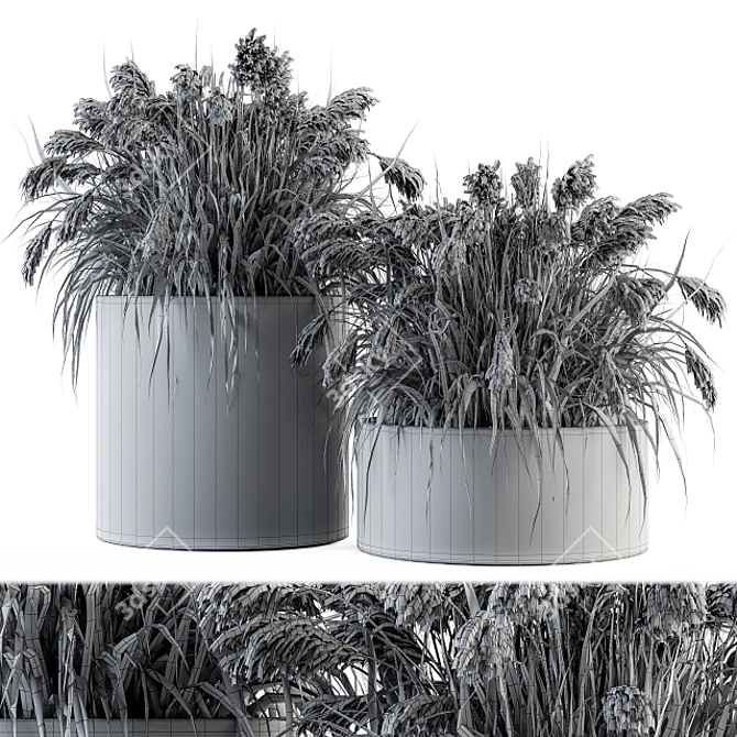  Vibrant Indian Grass Indoor Plant Set 3D model image 4