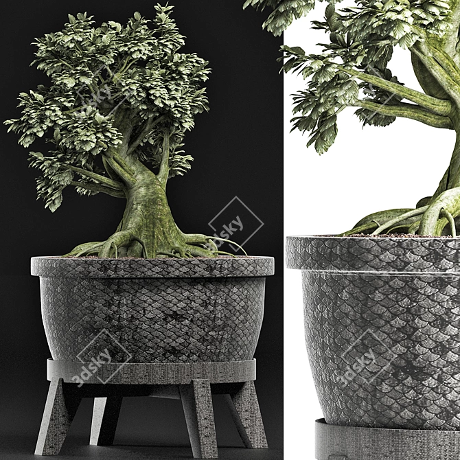 Sageretia Theezans: Mini Bonsai for Your Zen Space 3D model image 2