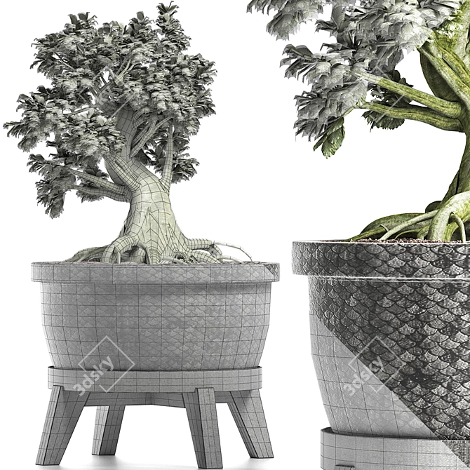 Sageretia Theezans: Mini Bonsai for Your Zen Space 3D model image 4