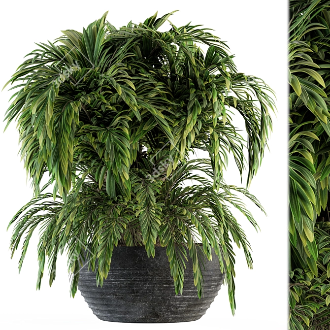 Tropical Oasis Indoor Plant Set 3D model image 1