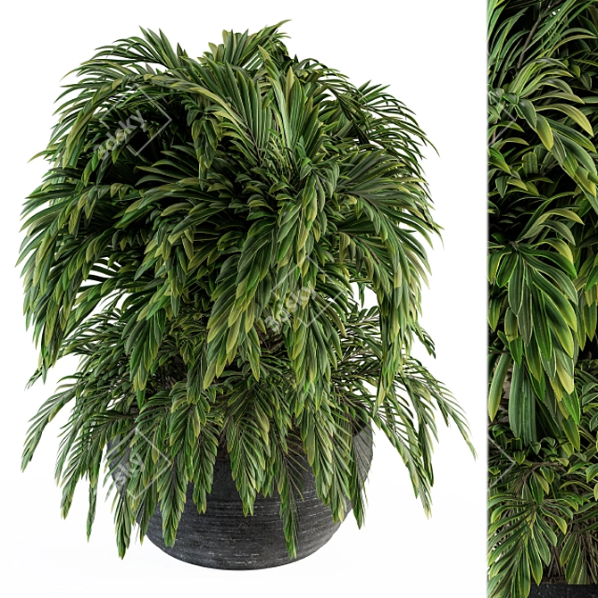 Tropical Oasis Indoor Plant Set 3D model image 2
