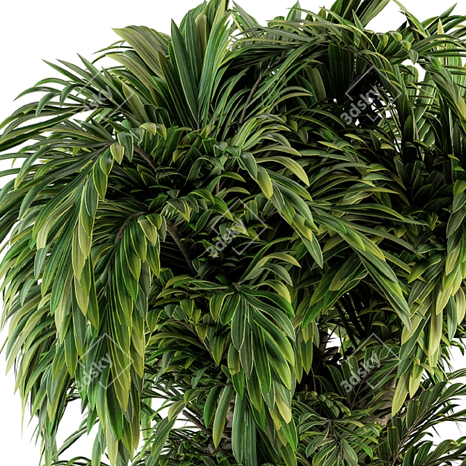 Tropical Oasis Indoor Plant Set 3D model image 3