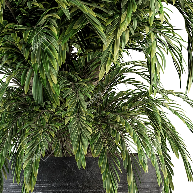 Tropical Oasis Indoor Plant Set 3D model image 4