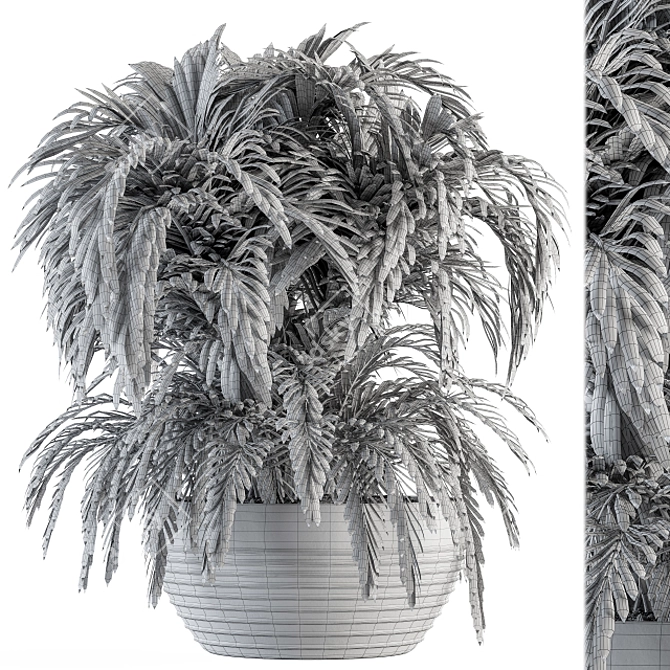 Tropical Oasis Indoor Plant Set 3D model image 5