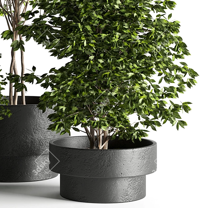 Modern Indoor Plant: 3D Model with 3Dmax & Vray 3D model image 2